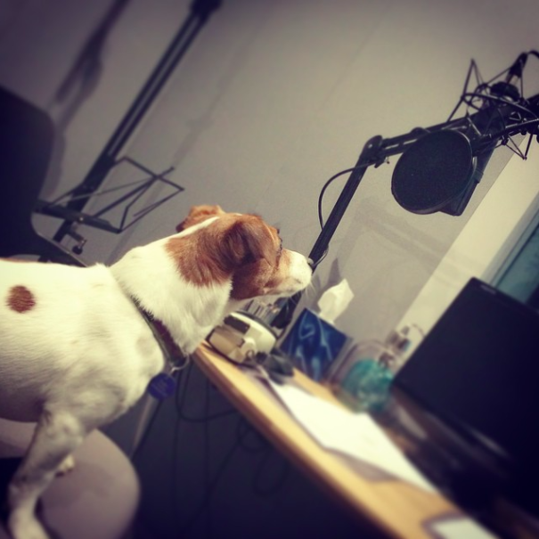 Buzz Engaged In A Woofover Session For A Commercial
