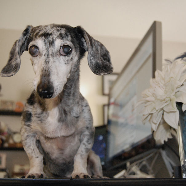 Ms Mina Would Like To Know If It's Lunch Time Yet.