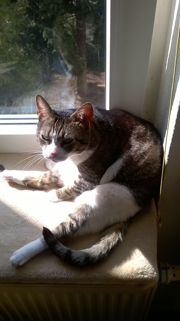 We Always Call Her "a Bag Full Of Love"