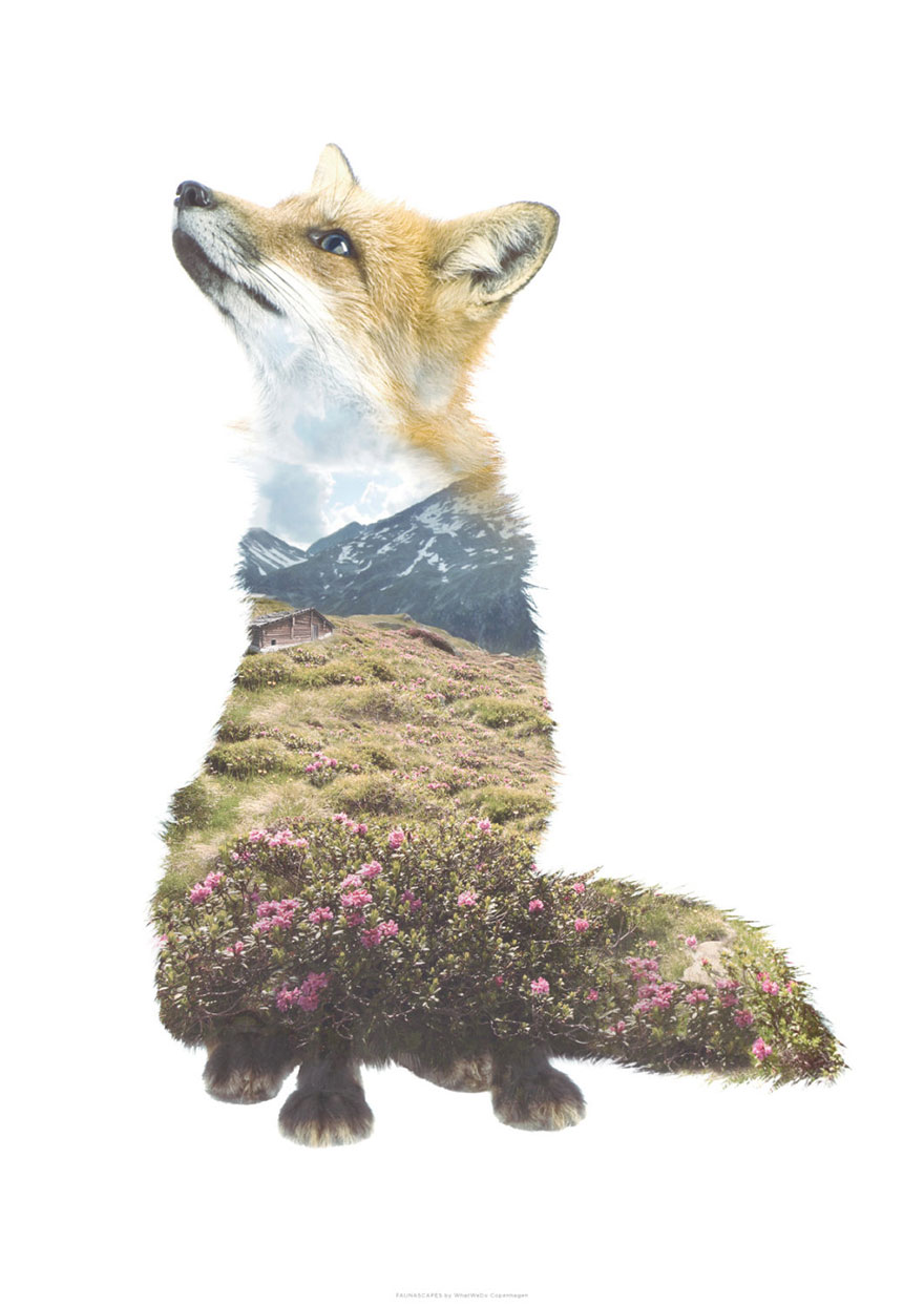 We Take Double-Exposure Animal Portraits To Escape The Daily Routine