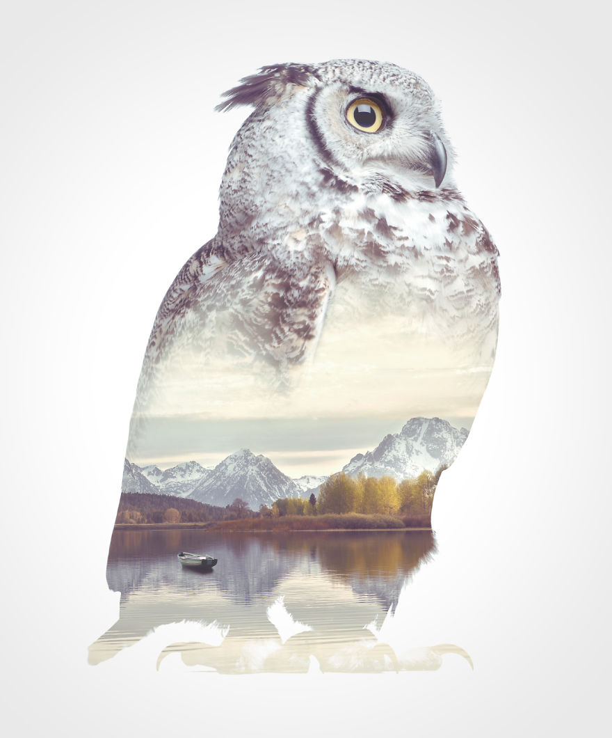 We Take Double-Exposure Animal Portraits To Escape The Daily Routine