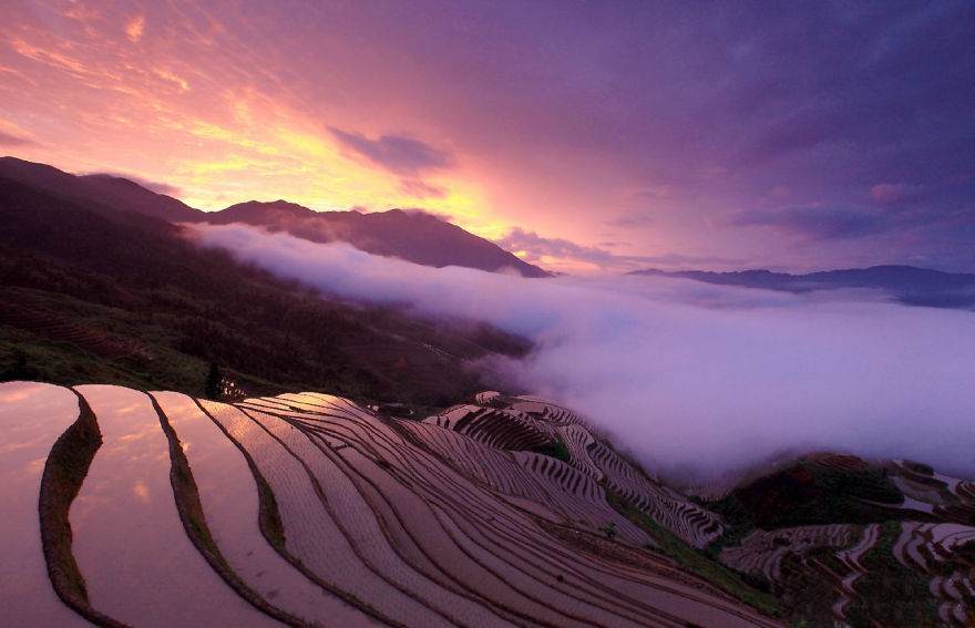 The Longsheng Rice Terraces