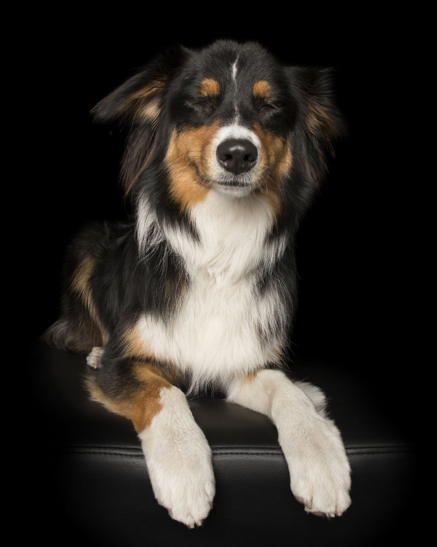 Zen Dogs: Photographer Captures The ‘Relaxed’ State Of Man's Best Friend