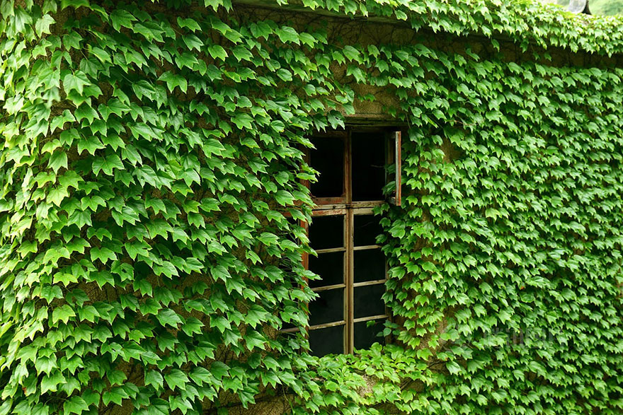 abandoned-village-zhoushan-china-108 abandoned-village-zhoushan-china-108
