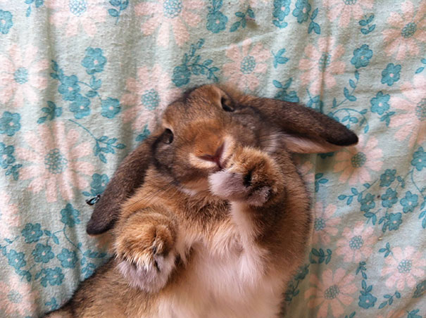 I Want You To Draw Me Like One Of Your French Girls