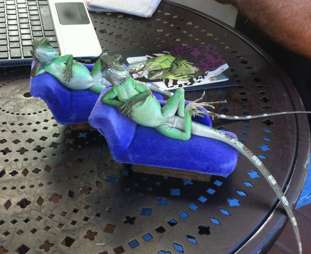 Draw Me Like One Of Your French Girls