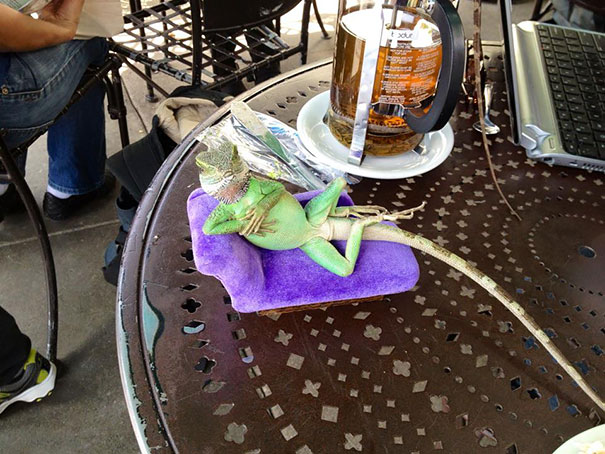 Draw Me Like One Of Your French Girls