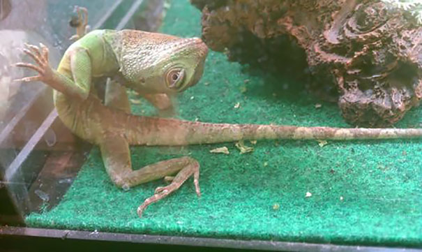 Draw Me Like One Of Your French Girls