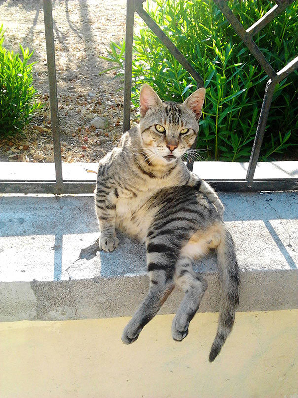 Draw Me Like One Of Your French Girls