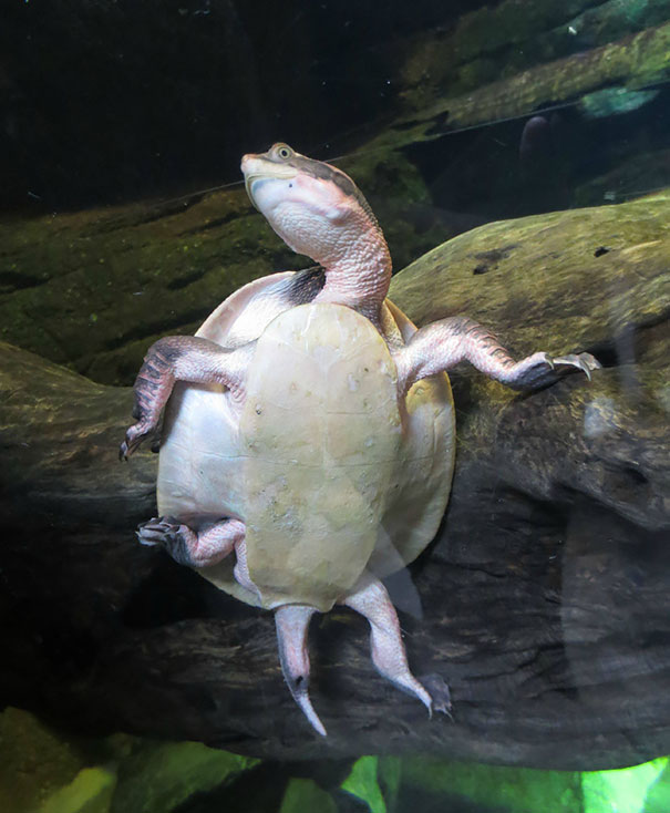 Draw Me Like One Of Your French Girls