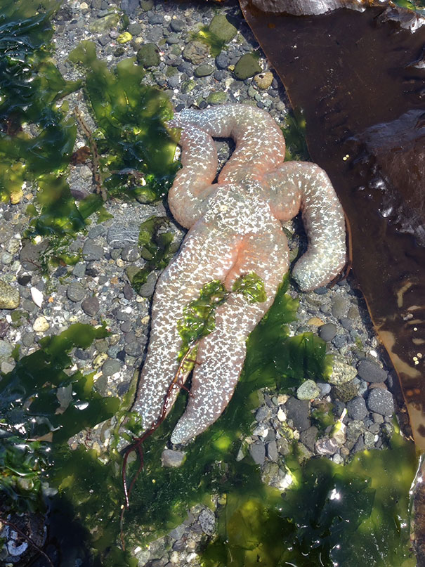 Draw Me Like One Of Your French Girls