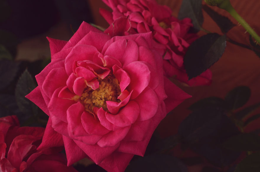 My Entry To The Fifth Annual Exposure Photography Contest