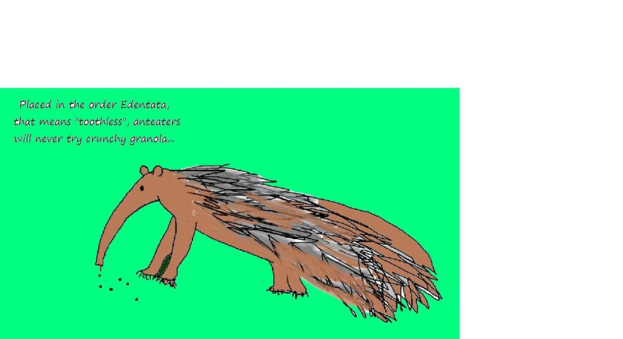 Anteaters...