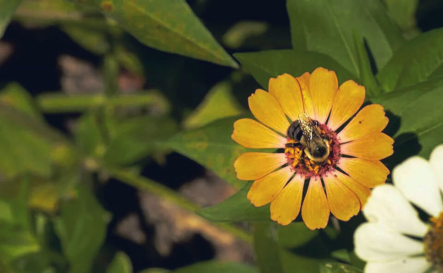 My Entry To The Fifth Annual Exposure Photography Contest