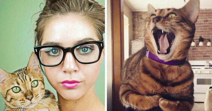 My Photos Of Me Slowly Becoming A Crazy Cat Lady