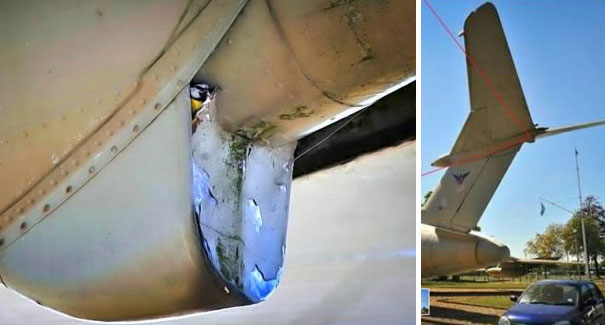 Bird Nesting Inside Old Plane