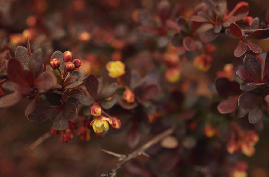 My Entry To The Fifth Annual Exposure Photography Contest