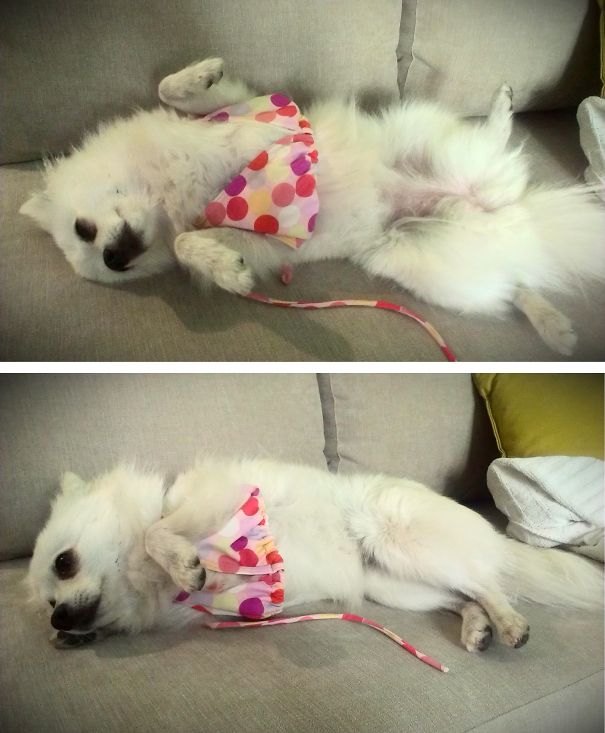 Draw Me Like One Of Your French Girls