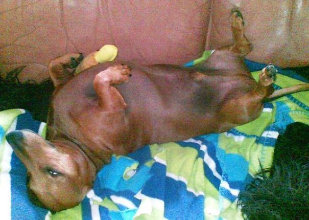 I’m Sexy And I Know It!