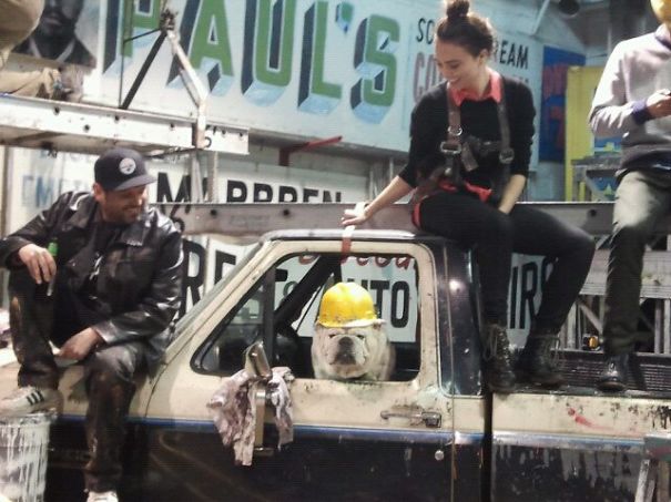 Boug The Bulldog At Work At Sky High Murals.