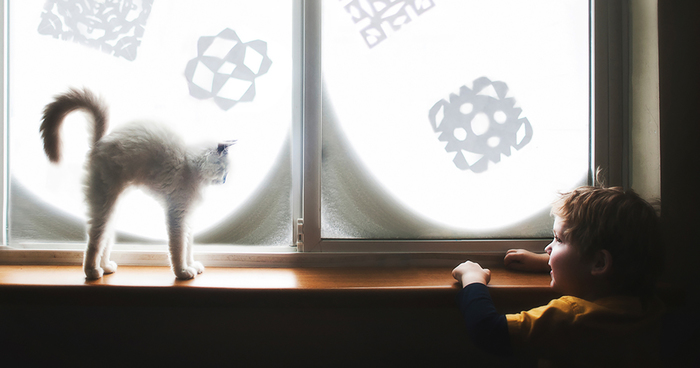 A Boy And His Cats: I Document The Bond Between My Boys And Their Cats