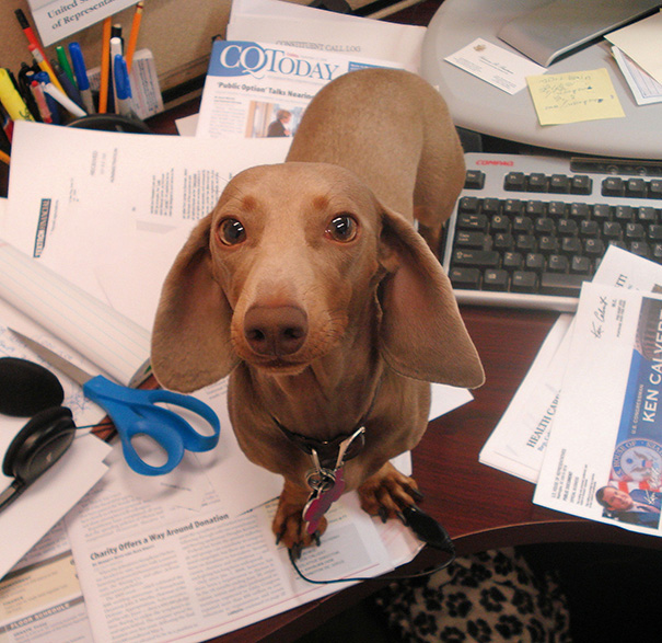 She Comes To Work Every Day