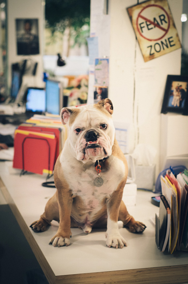 Just Another Day At The Office