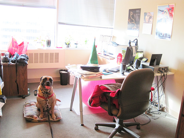 Greta Hangs Out In My Office For NYE