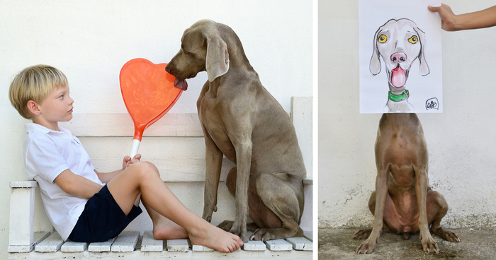 My Dog Bruma Is A Very Special Protagonist In My Photography