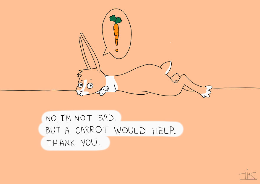 Everything You Always Wanted To Know About Rabbits, But Were Afraid To Ask