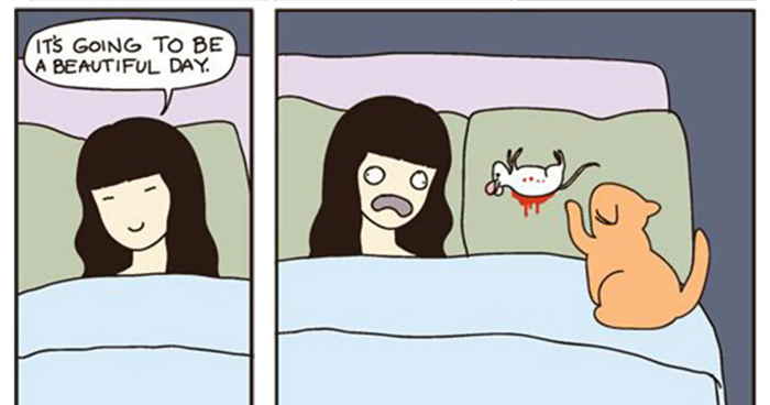 173 Of The Best Examples Of Cat Logic