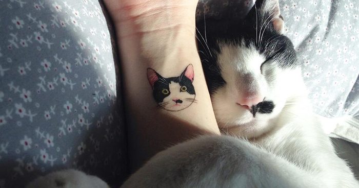 Cat Tattoos Are Probably The Cutest Way To Break The Law In South Korea