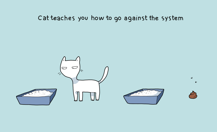 10 Benefits Of Having A Cat 10 Benefits Of Having A Cat