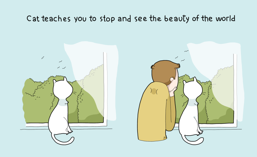 10 Benefits Of Having A Cat 10 Benefits Of Having A Cat