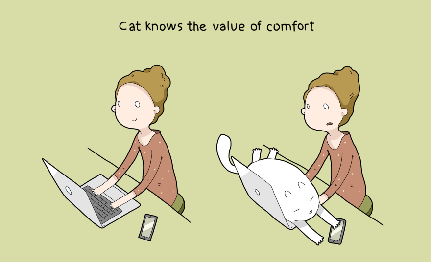 10 Benefits Of Having A Cat 10 Benefits Of Having A Cat
