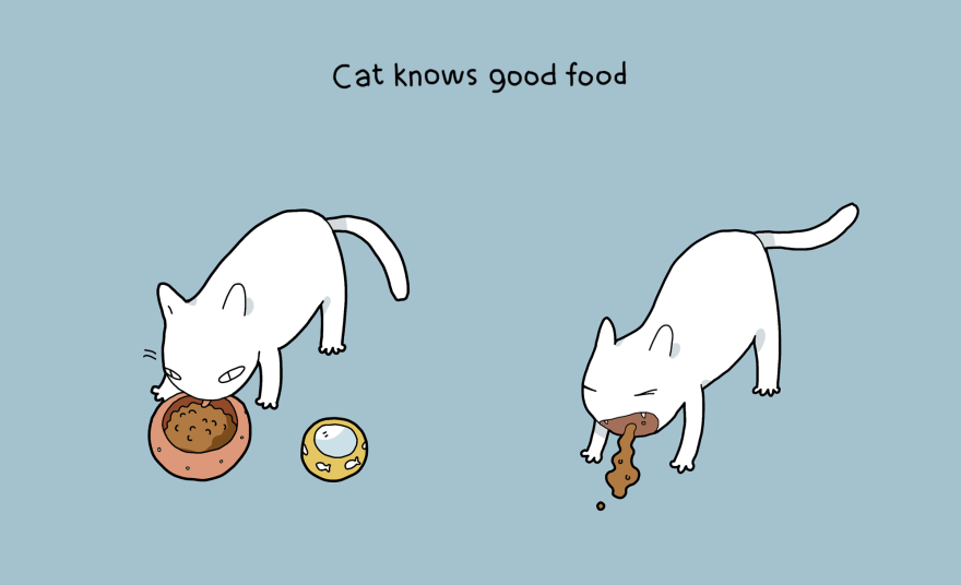 10 Benefits Of Having A Cat