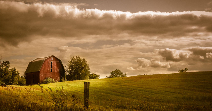 Cheap Camera, Amazing Art: Single Mom Uses Old Canon PowerShot To Take Stunning Photos