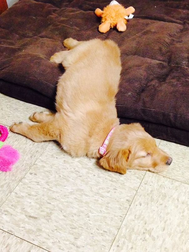 #19 Chevy Had A Long Day Checking In Parts At The Body Shop Today ...she's On Her Break!