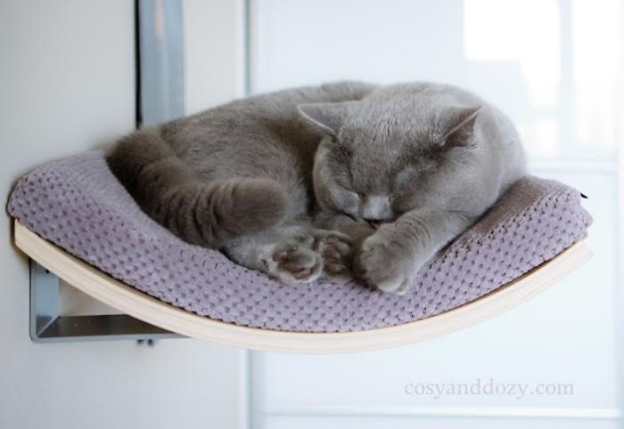 Cat’s Chillout Zone Cat’s Chillout Zone