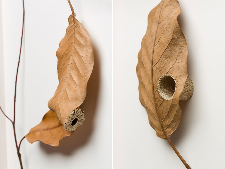 crocheted-leaf-art-susanna-bauer-13 crocheted-leaf-art-susanna-bauer-13