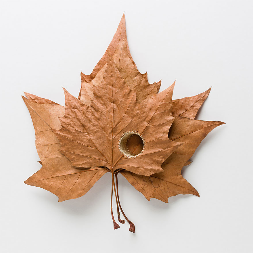 crocheted-leaf-art-susanna-bauer-18 crocheted-leaf-art-susanna-bauer-18