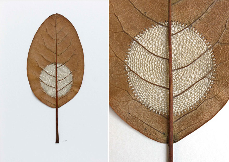 crocheted-leaf-art-susanna-bauer-5 crocheted-leaf-art-susanna-bauer-5