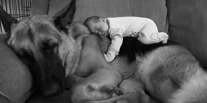 22 Little Kids And Their Big Dogs