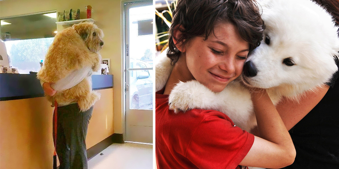 Post Pictures Of Dogs Hugging Their Humans