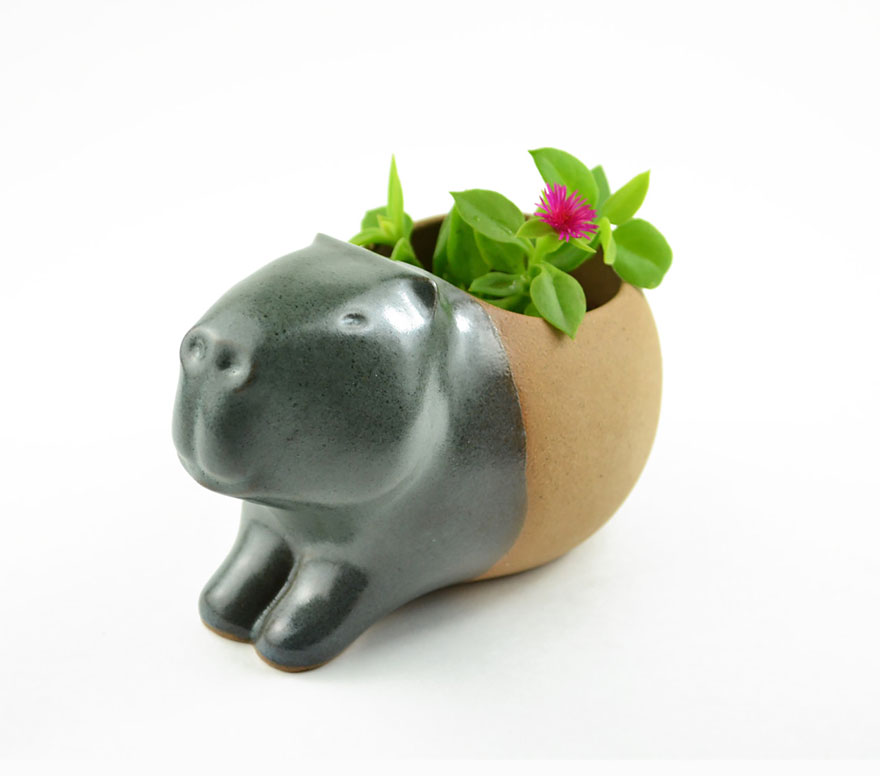 Adorable Little Animal Planters That Will Protect Your Plants Adorable Little Animal Planters That Will Protect Your Plants