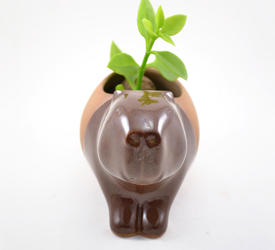 Adorable Little Animal Planters That Will Protect Your Plants Adorable Little Animal Planters That Will Protect Your Plants