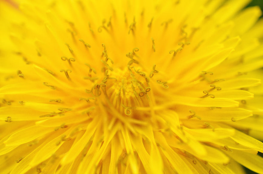 My Entry To The Fifth Annual Exposure Photography Contest