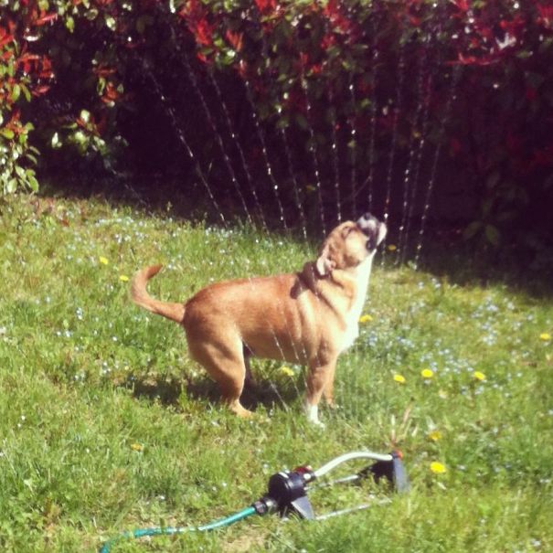 I'm Sexy And I Know It