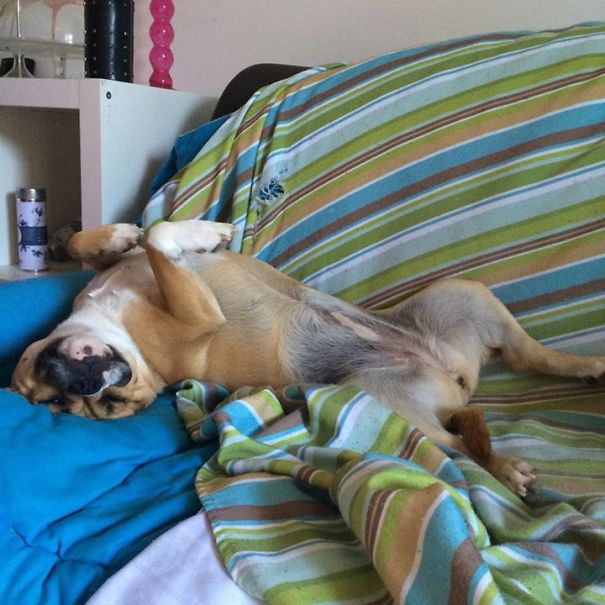 Paint Me Like One Of Your French Girls