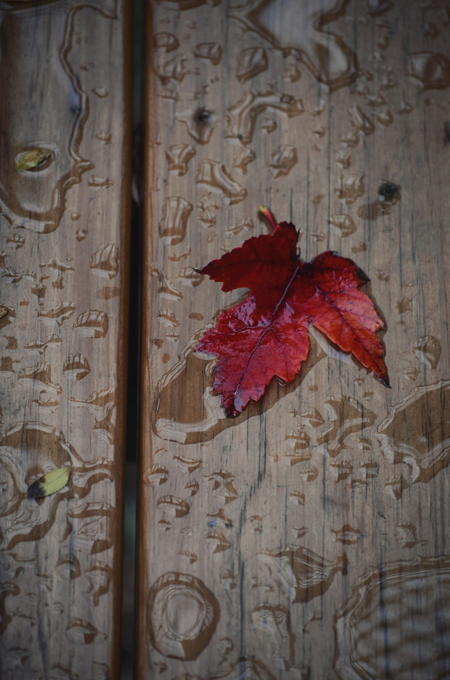 My Entry To The Fifth Annual Exposure Photography Contest